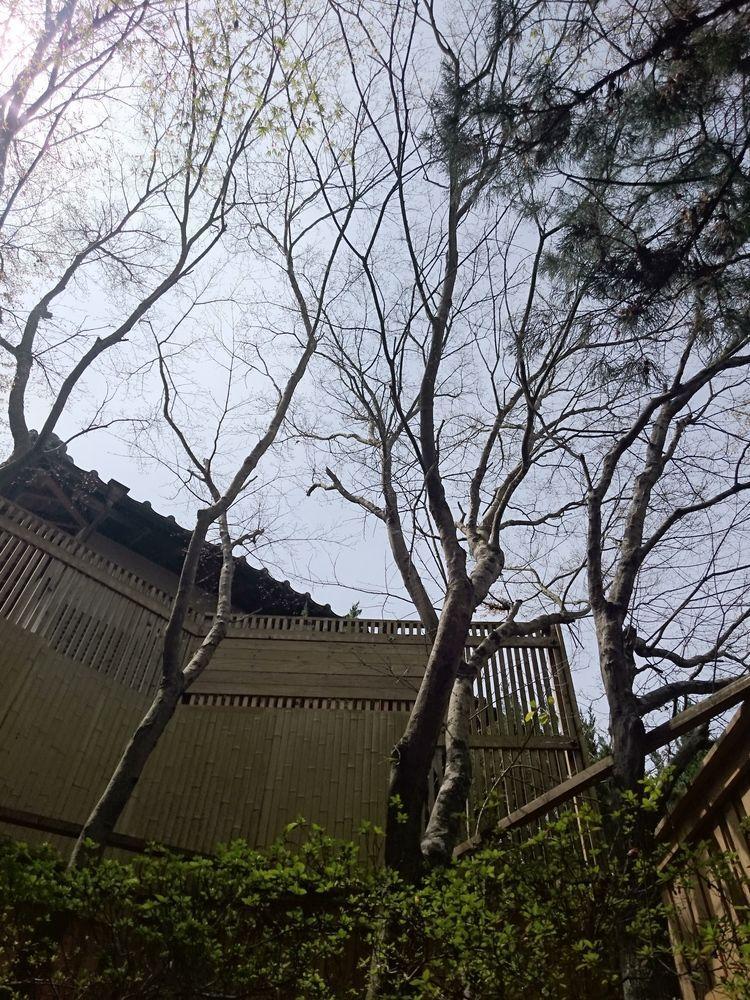 La Maison De David 由布市 エクステリア 写真