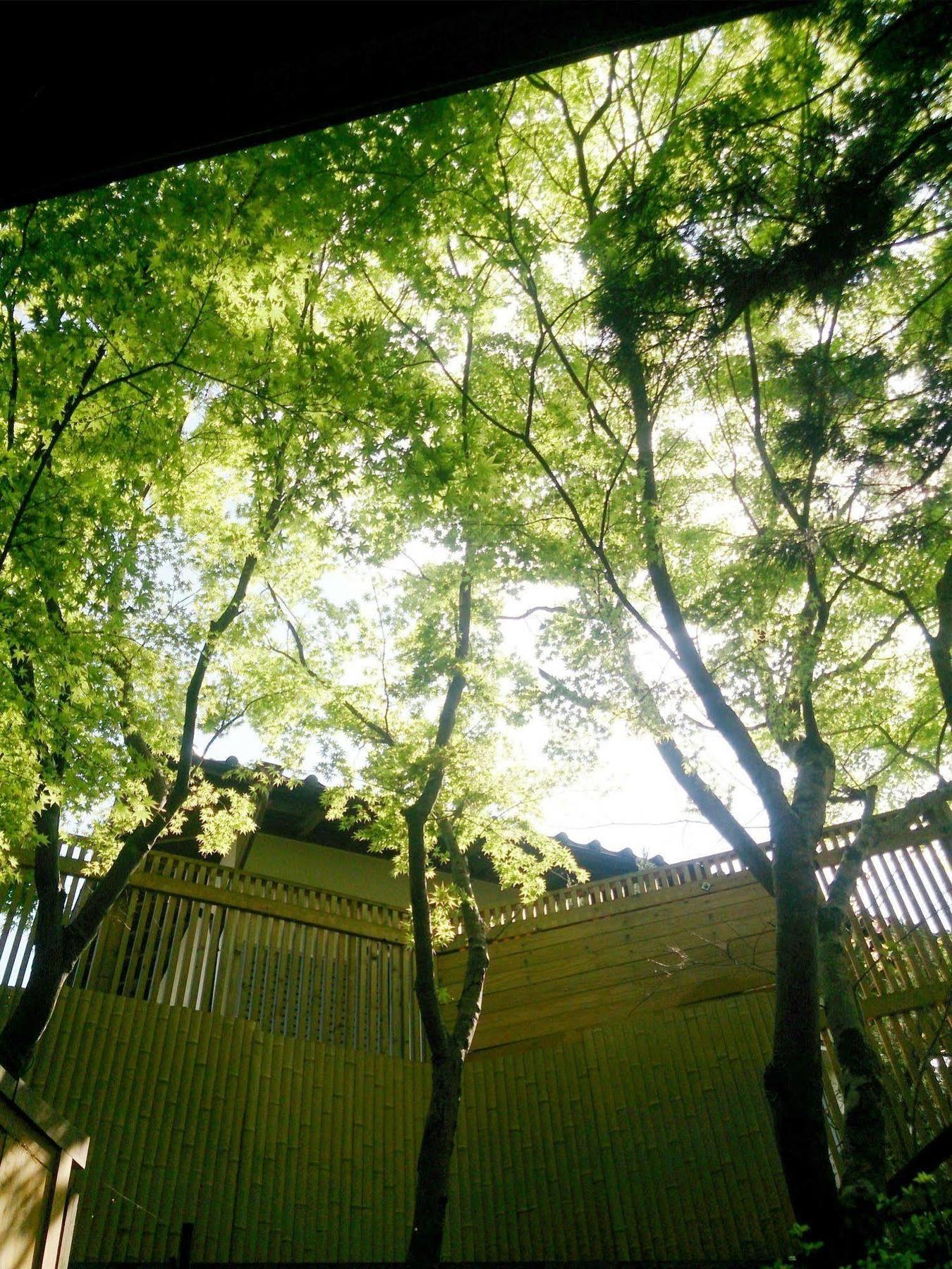 La Maison De David 由布市 エクステリア 写真